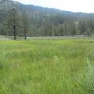 Start of lower transect looking east