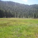 Start of lower transect, looking east