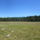 Start of upper transect, looking east