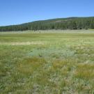 Start of upper transect, looking northwest