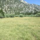 Start of upper transect, looking southeast