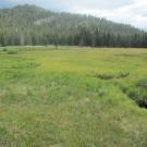 Start of upper transect, looking southwest