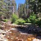Meiss Creek