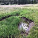 Round Meadow side channel