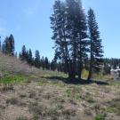 Too Steep