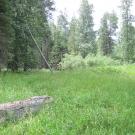 Top of Meadow