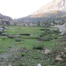 Top of Meadow