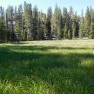 Top of Meadow