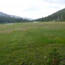 Top of Meadow