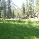 Top of Meadow