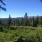 Top of Meadow