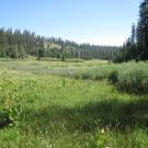 Top of lower meadow looking north