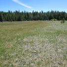 Top of meadow looking east