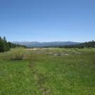 Top of meadow looking east