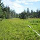 Top of meadow looking north