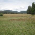 Top of meadow looking northeast