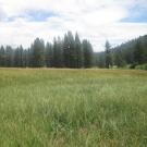Top of meadow, inset floodplain