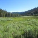 Top of meadow
