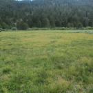 Top of meadow