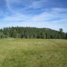 Top of meadow