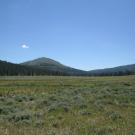 Top of meadow