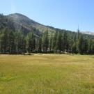 Transect 1 (right to left)