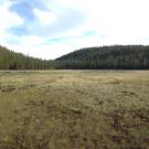 Transect 1 (upstream)