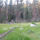 Transect 1 Overview (left to right)