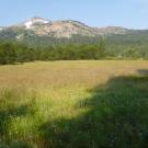 Transect 1 Overview (right to left)
