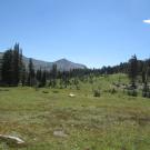 Transect 2 (left to right)