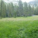 Transect 2 Overview (left to right)