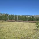 Transect 2, left to right