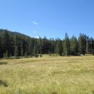 Transect 2, right to left