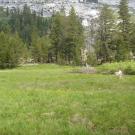 Transect 3 (left to right)