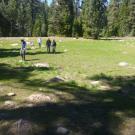 Transect, left to right
