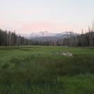 Upper Transect Channel Right to Left
