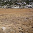 Upper Transect Overview (left to right)