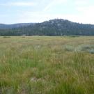 Upper Transect Overview (left to right)