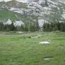Upper Transect Overview (left to right)