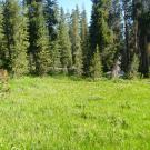 Upper Transect Overview (right to left)