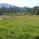 Upper Transect Overview (right to left)