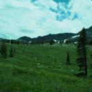 View across polygon