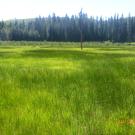 Transect 2, Right to Left