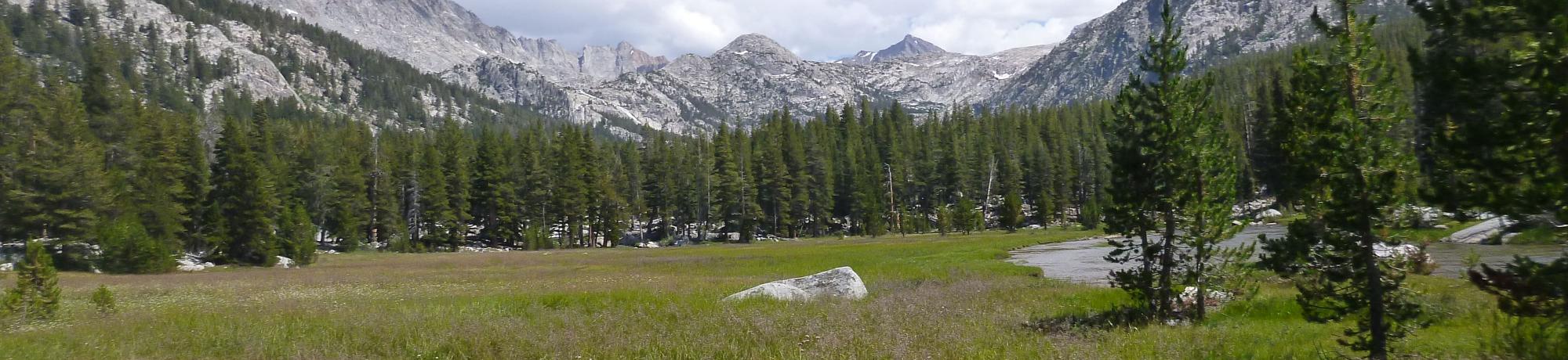 Bottom of Meadow
