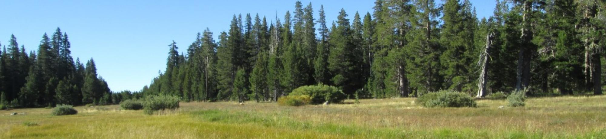 Channel Course Altered at Airstrip