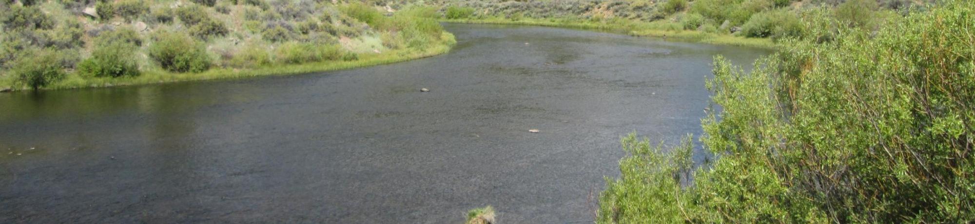 Channel, from left bank looking downstream