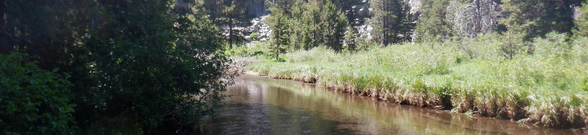 Kirkwood Meadow channel under rock face