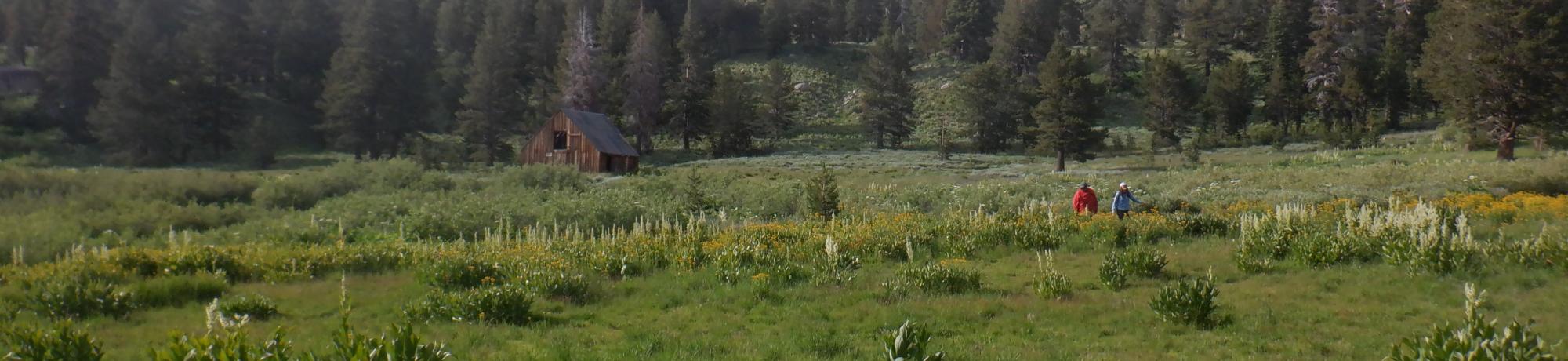 Schneider Camp with house