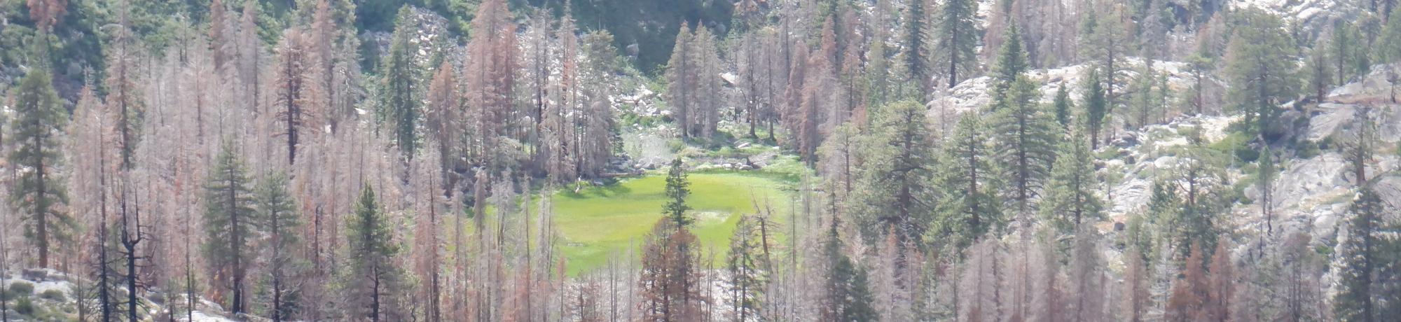 Kirkwood Lake from high vantage point