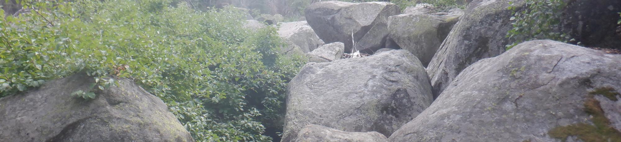 Strawberry Creek boulders